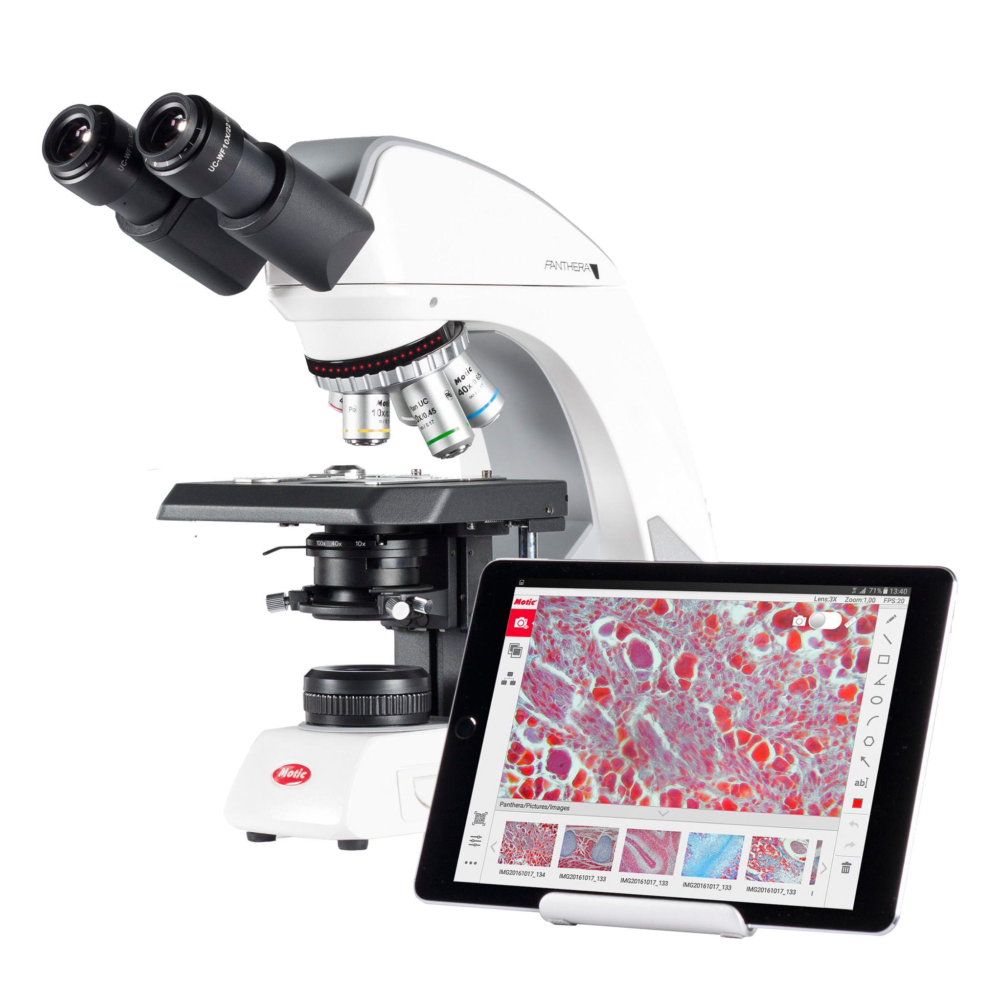 UPRIGHT MICROSCOPES | Microscope Supply