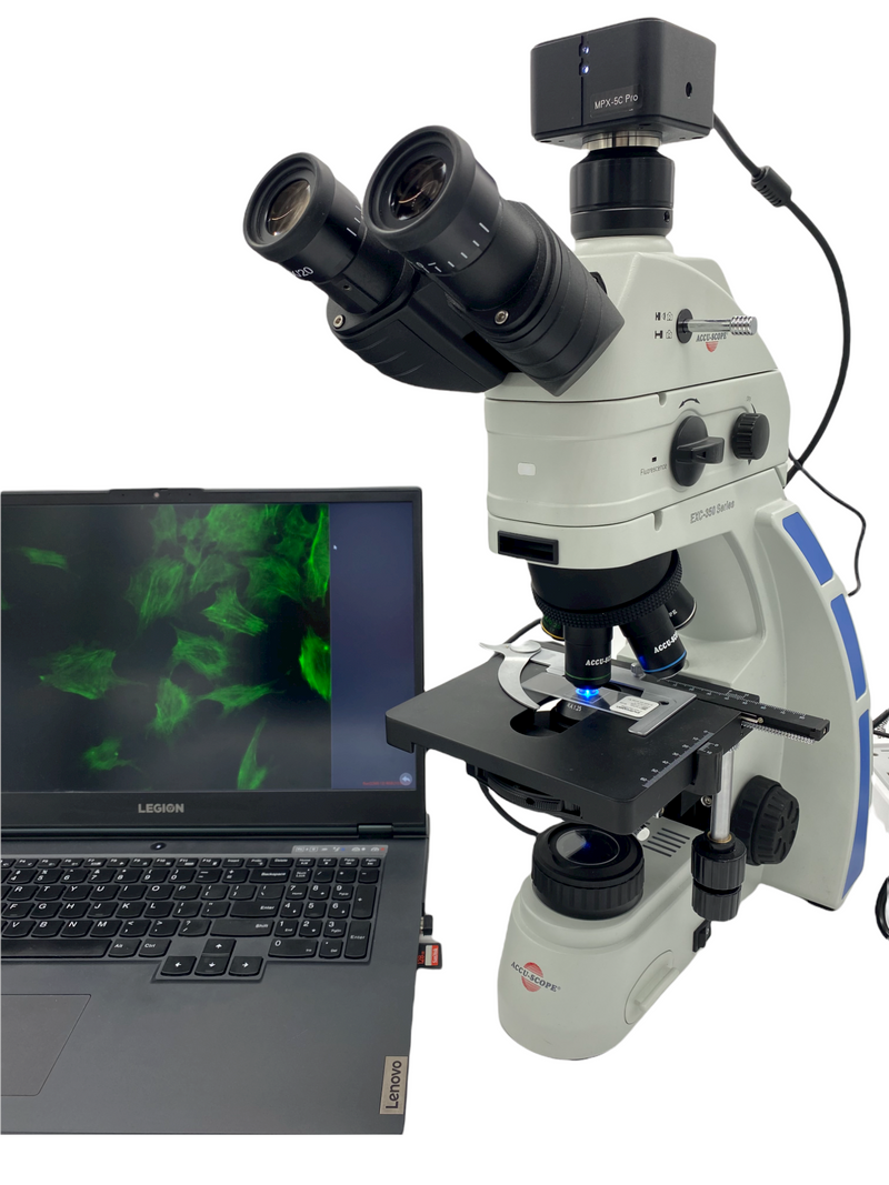 ACCU-SCOPE EXC-350 Fluorescence Phase Microscope 5MP Camera - Microscope Supply