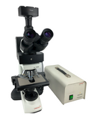 Labomed LX500 Fluorescent Trinocular Microscope with Amscope 10mp camera - Reconditioned