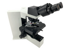 Olympus BX40 Clinical Pathology Microscope w/ 4x, 10x, 20x, 60x Plan Achromat Objectives - Reconditioned