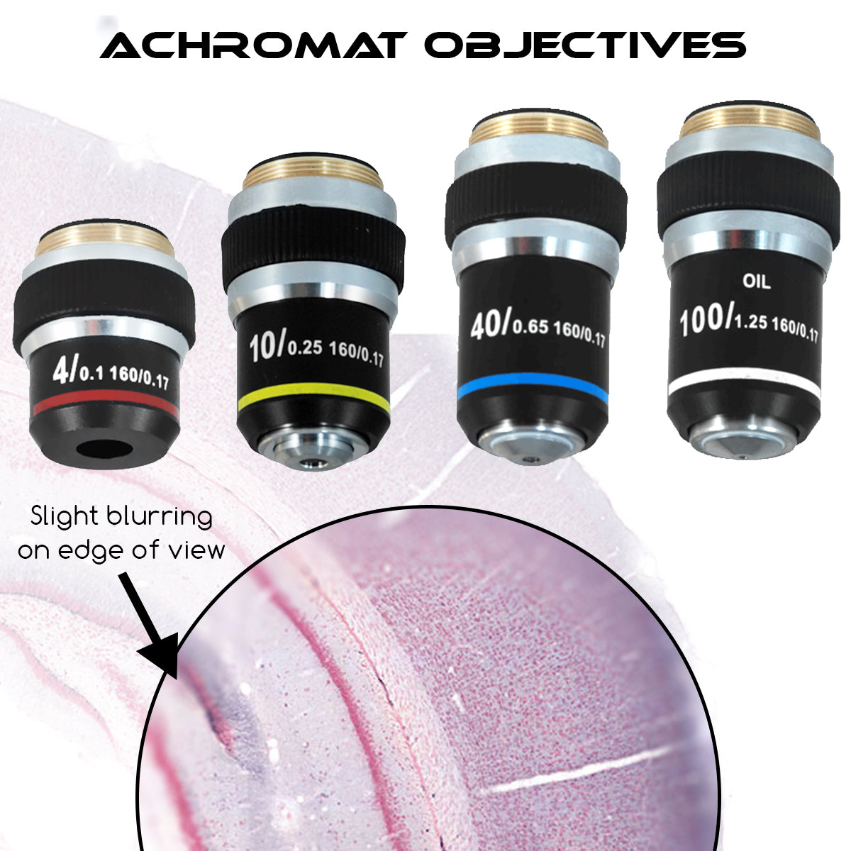 Voxyl XC3 Biological Upright Microscope | Microscope Supply