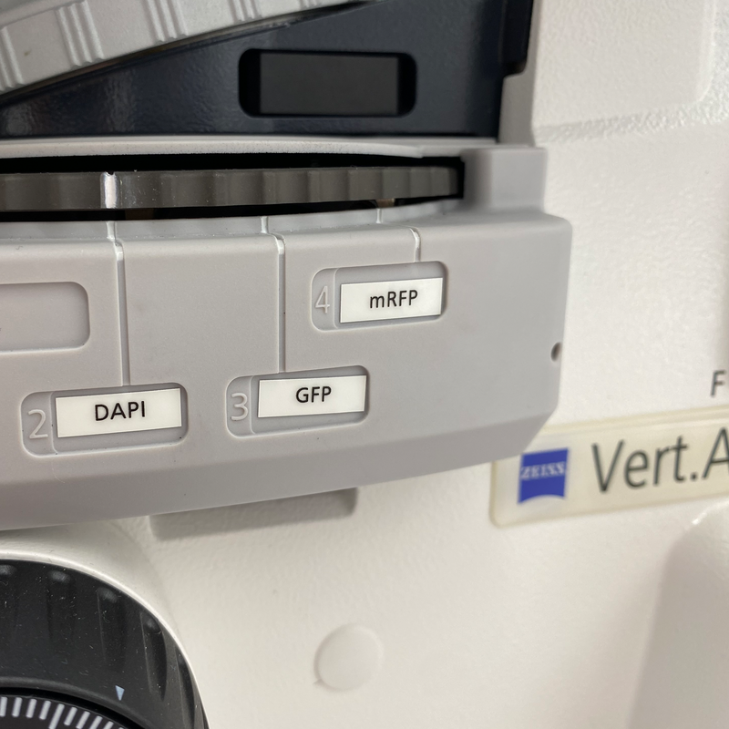 Zeiss Axio Vert.A1 Inverted Microscope w/ 8MP Camera - Phase & Fluorescence - Reconditioned